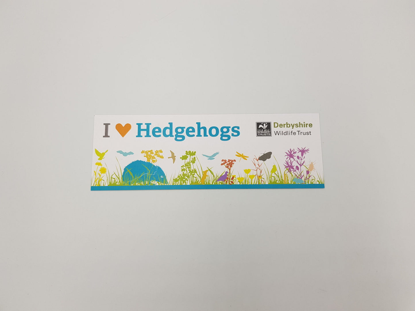 Hedgehog Adoption Pack