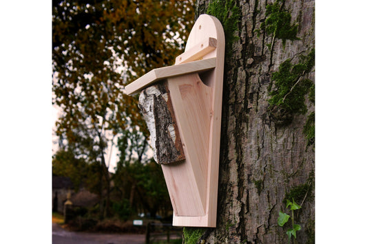 Tree Creeper Bird Box