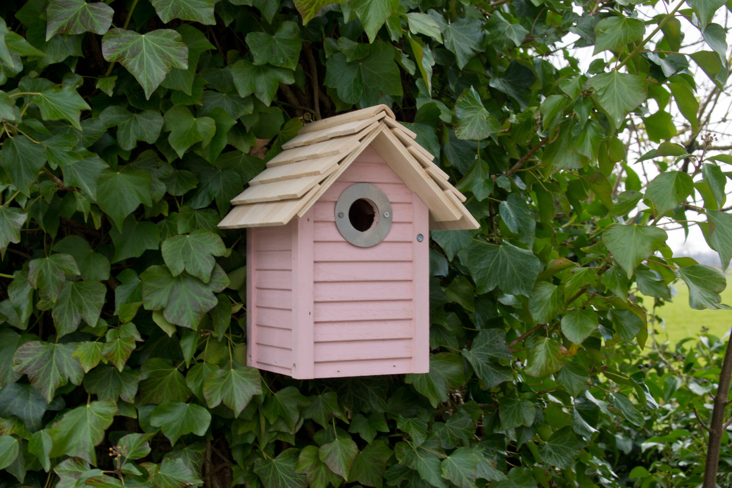 New England Nest Box - Pink
