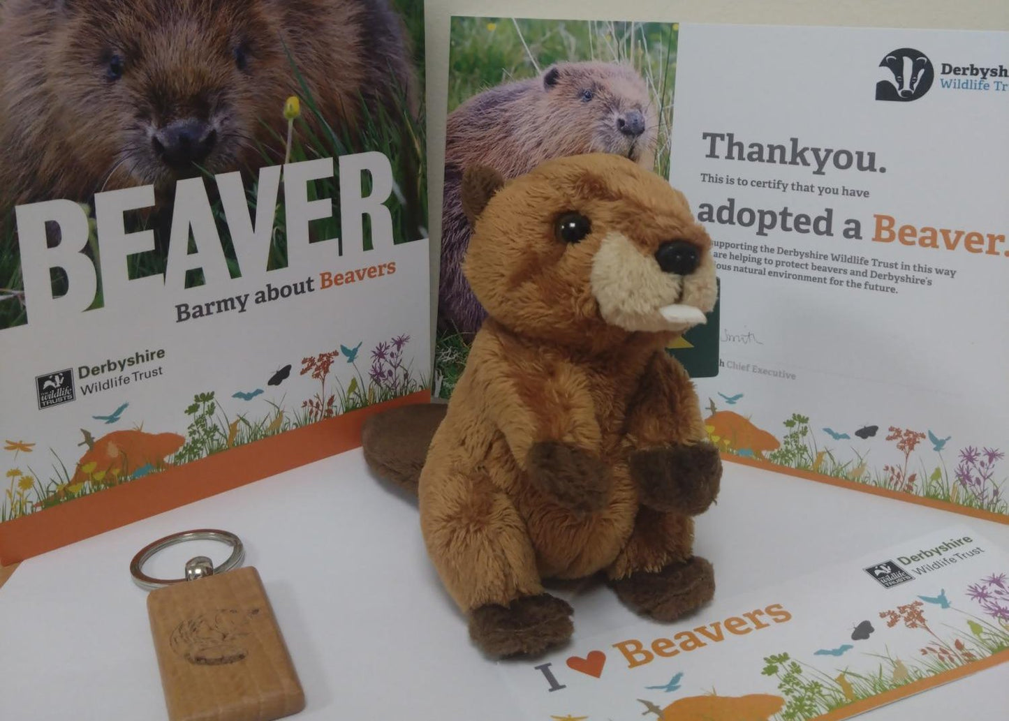 Beaver adoption pack