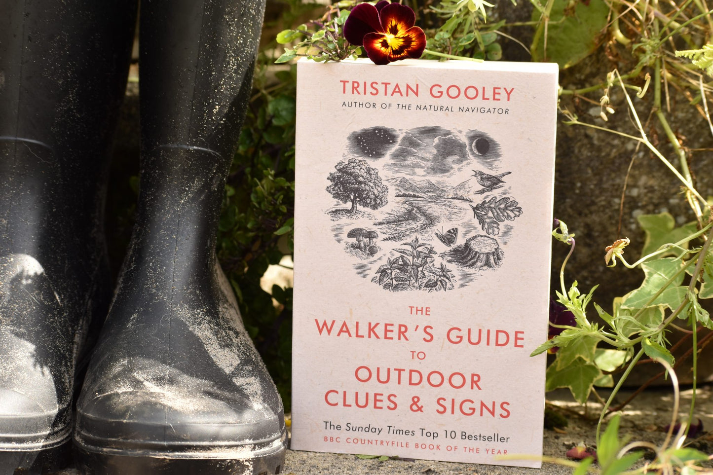 The Walker's Guide to Outdoor Clues and Signs