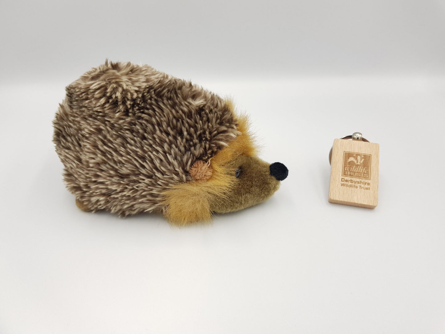 Hedgehog Adoption Pack