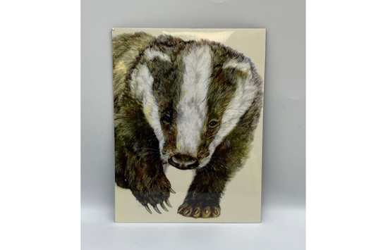 Badger Cub Magnet - Kevin Wood