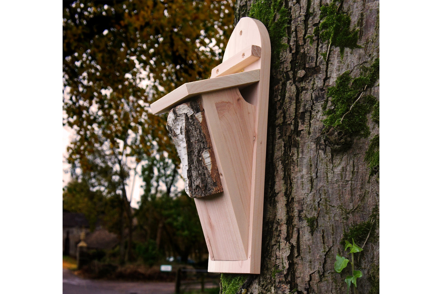 Tree Creeper Bird Box