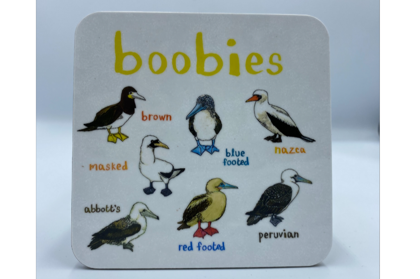 Boobies Coaster