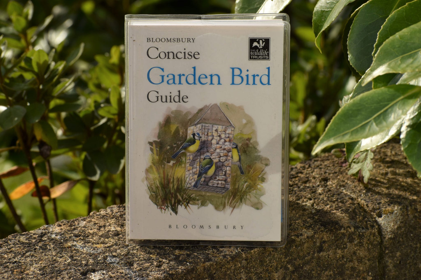 Bloomsbury Concise Garden Birds Guide