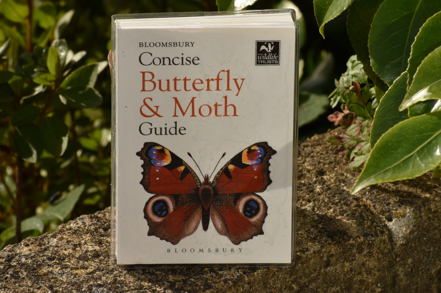 Bloomsbury Concise Butterfly and Moth Guide