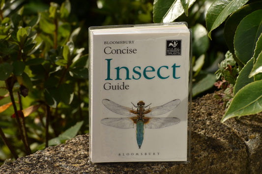 Bloomsbury Concise Insect Guide