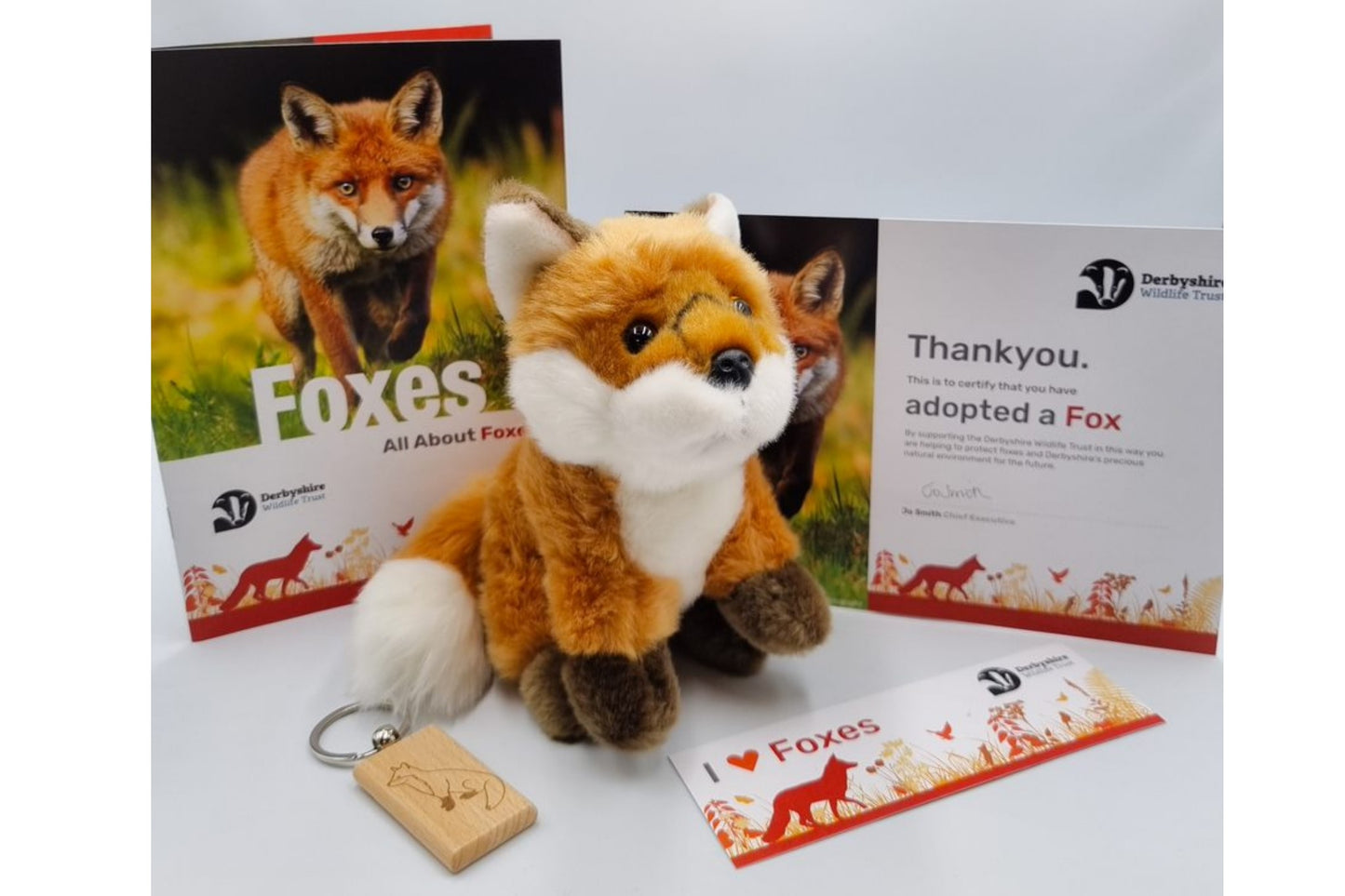 Fox Adoption Pack