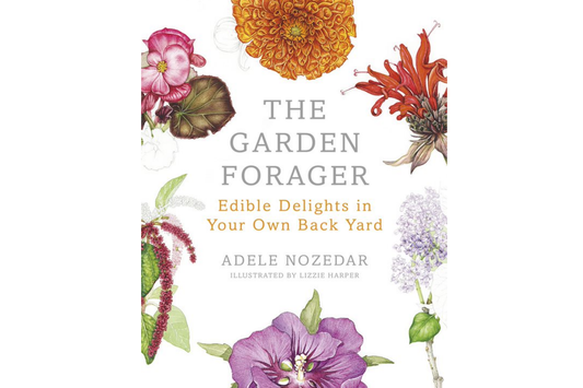 The Garden Forager