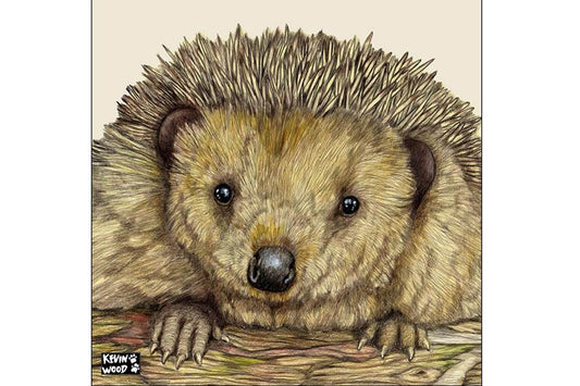 Hedgehog Coaster - Kevin Wood