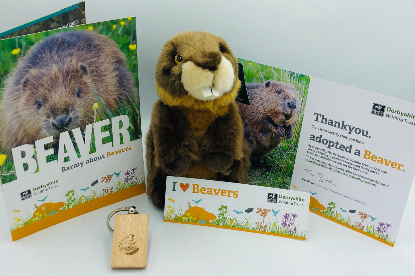 Beaver adoption pack