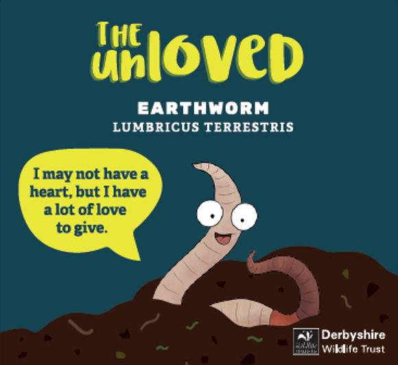 Unloved Seed Pot - Earth Worm