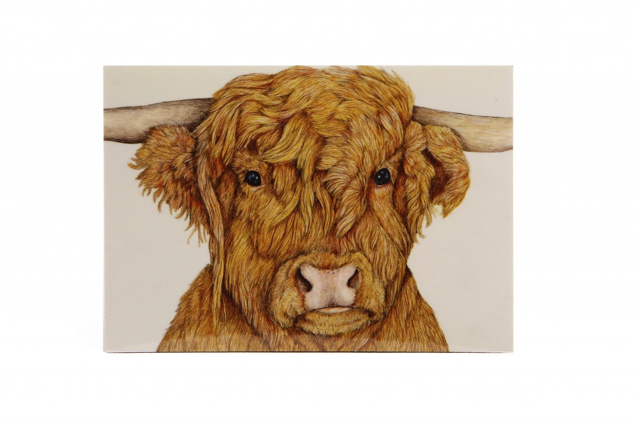 Highland Cattle Magnet - Kevin Wood – derbyshirewildlifetrustshop