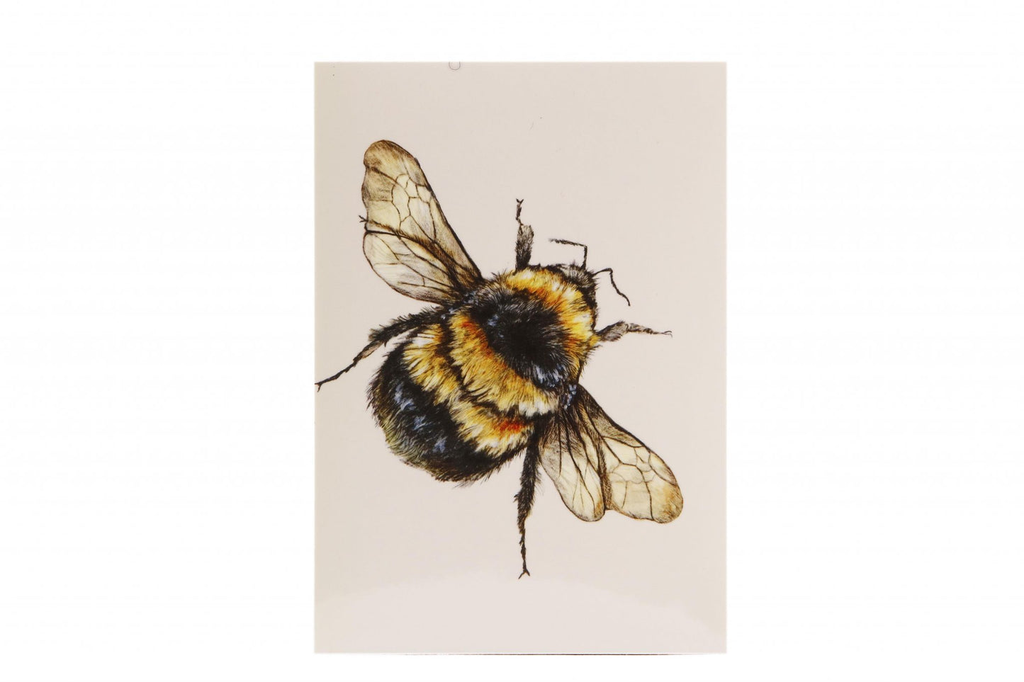 Bee Magnet - Kevin Wood