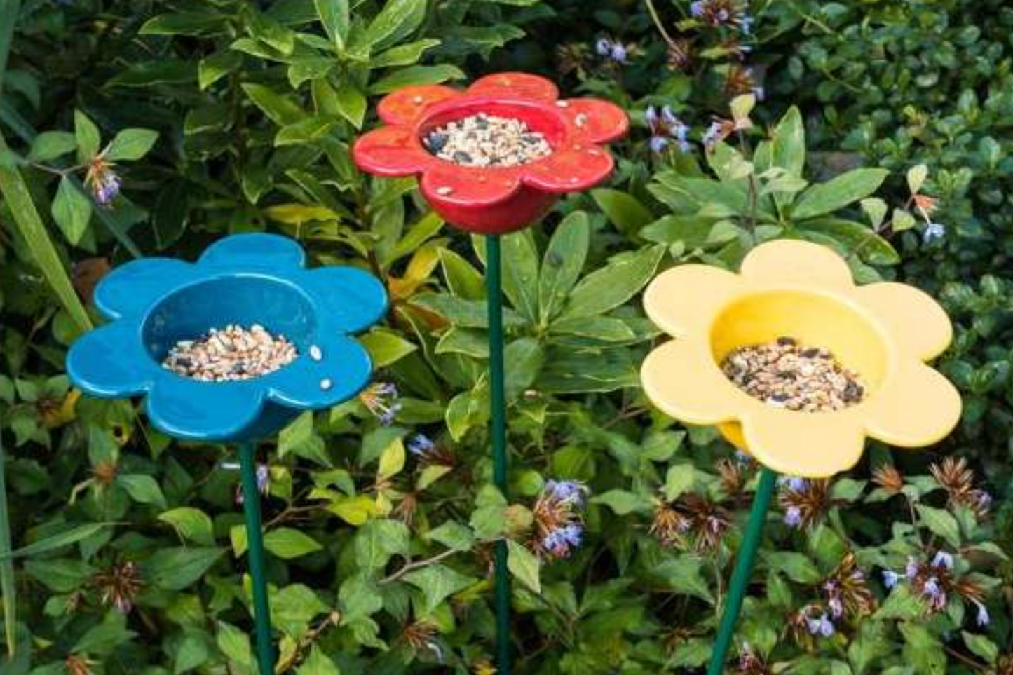 Petal Bird Feeder