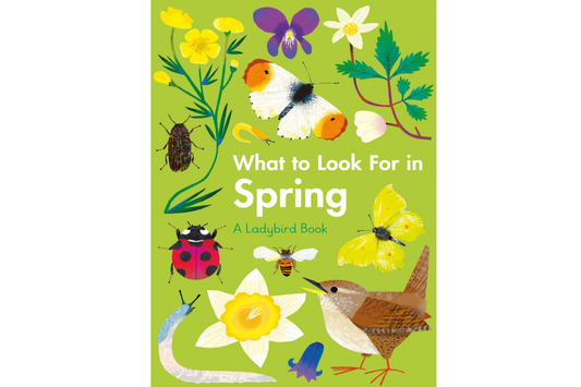 What to look for in Spring
